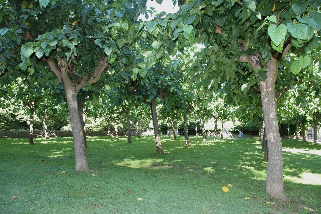Holiday Home Can Clerc Osor Chambre photo